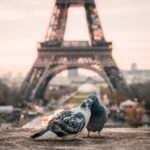S'embrasser à Paris, les plus beaux lieux du cinéma